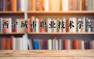 西宁城市职业技术学院学费多少钱一年：4300-5000元/年（2025填报参考）