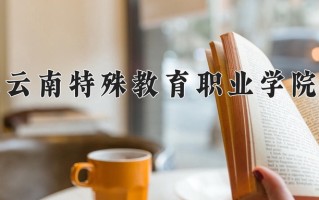 2024年云南特殊教育职业学院招生章程，附办学层次和录取规则