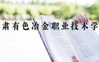 2024年甘肃有色冶金职业技术学院招生章程，附办学层次和录取规则