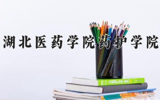 2025年湖北医药学院药护学院在河南计划招生人数（附学费及专业录取分)