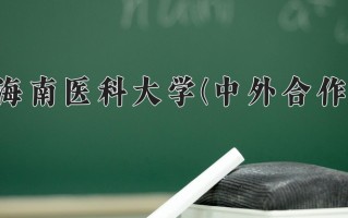 2024海南医科大学(中外合作)录取分数线，重庆录取最低分504