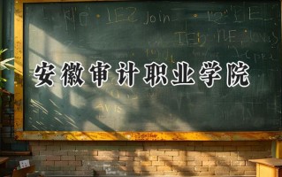2024安徽审计职业学院录取分数线：陕西最低358分