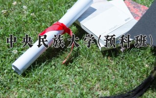 2025年中央民族大学(预科班)在重庆计划招生人数（附学费及专业录取分)