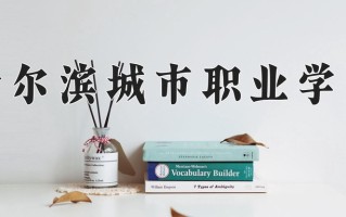 2024年哈尔滨城市职业学院招生章程，附办学层次和录取规则