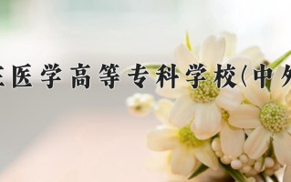 2025年石家庄医学高等专科学校(中外合作)在重庆计划招生人数（附学费及专业录取分)