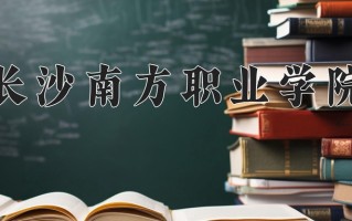 2025年长沙南方职业学院在四川计划招生人数（附学费及专业录取分)