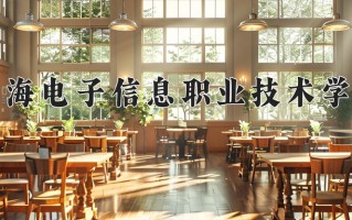 2024年上海电子信息职业技术学院招生章程，附办学层次和录取规则