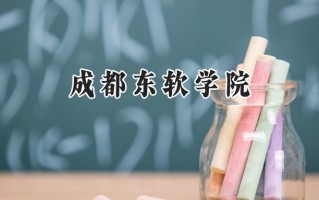 2024成都东软学院录取分数线：天津最低488分