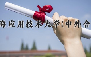 2024年上海应用技术大学(中外合作)录取分数线，新疆最低364分