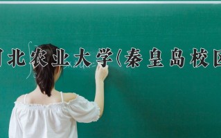 河北农业大学(秦皇岛校区)一年学费多少钱及各专业的收费标准(2025参考）