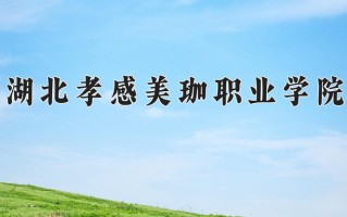 湖北孝感美珈职业学院一年学费多少钱及各专业的收费标准(2025参考）