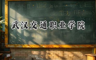 2024武汉交通职业学院录取分数线：天津最低214分