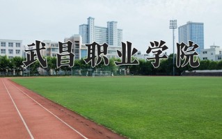2024年武昌职业学院招生章程，附办学层次和录取规则