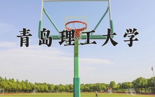2024青岛理工大学录取分数线：浙江最低489分
