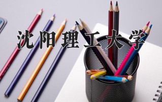 2025年沈阳理工大学在四川计划招生人数（附学费及专业录取分)