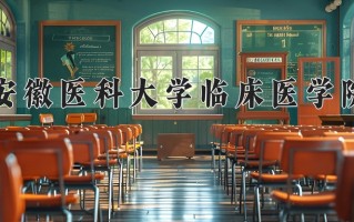 2024安徽医科大学临床医学院录取分数线：浙江最低489分