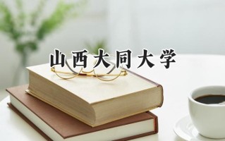 2024山西大同大学录取分数线：陕西最低452分