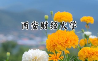 2024西安财经大学录取分数线：河南最低519分