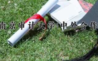 2024南京审计大学(中外合作)录取分数线，重庆录取最低分552