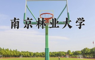 林学专业大学排名！附2025全国最新院校排行榜名单