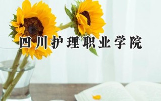 2024四川护理职业学院录取分数线：陕西最低378分