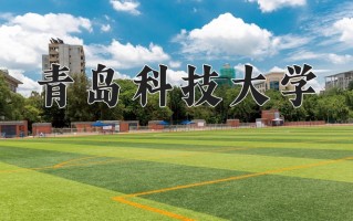 2024年青岛科技大学招生章程，附办学层次和录取规则