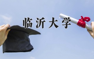 2025年临沂大学在新疆计划招生人数（附学费及专业录取分)