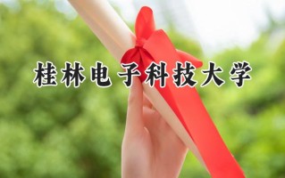 2024桂林电子科技大学录取分数线：陕西最低496分