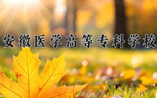 2025年安徽医学高等专科学校在四川计划招生人数（附学费及专业录取分)
