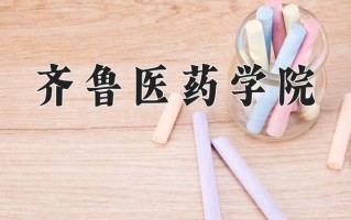 2024年齐鲁医药学院招生章程，附办学层次和录取规则