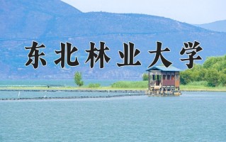 2024东北林业大学排名-最新全国排名第96位