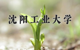 2024年沈阳工业大学招生章程，附办学层次和录取规则