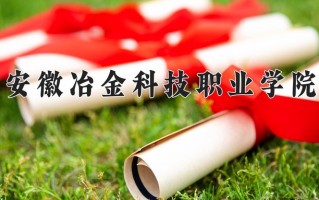 2024年安徽冶金科技职业学院招生章程，附办学层次和录取规则