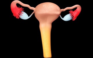 多囊二胎容易怀孕吗？头胎是促排怀的二胎还能自然怀吗【多囊 二胎】