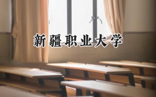 2024新疆职业大学录取分数线：天津最低135分