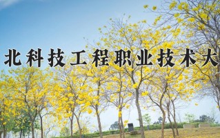 辽宁考生多少分能上河北科技工程职业技术大学？2025最低247分