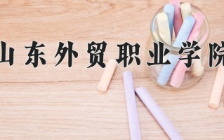 2024年山东外贸职业学院招生章程，附办学层次和录取规则