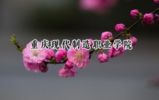 重庆现代制造职业学院2024在内蒙古录取分数线是多少？最低199分/最高301分