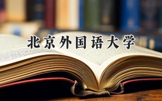 北京外国语大学2024在上海录取分数线是多少？最低521分/最高569分