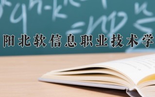 辽宁考生多少分能上沈阳北软信息职业技术学院？2025最低156分
