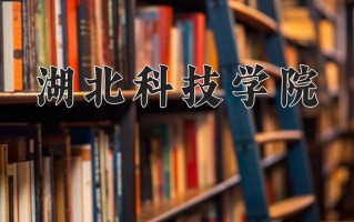 2025年湖北科技学院在四川计划招生人数（附学费及专业录取分)