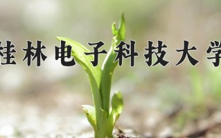桂林电子科技大学最厉害的专业-2024桂林电子科技大学最好专业