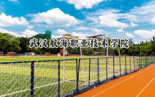2024武汉航海职业技术学院录取分数线：河南最低334分