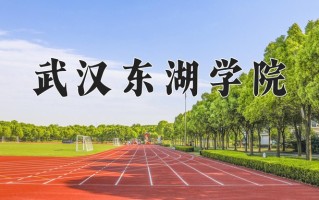 2025年武汉东湖学院在四川计划招生人数（附学费及专业录取分)