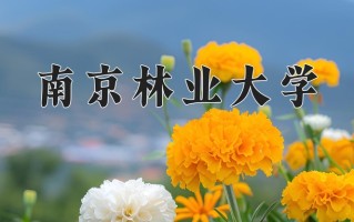 生态学专业学费多少？附江苏2024年招收的大学