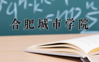 合肥城市学院一年学费多少钱及各专业的收费标准(2025参考）