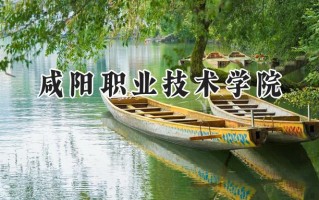2024咸阳职业技术学院录取分数线：山西最低312分