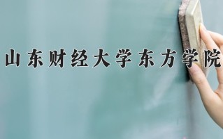 2024年山东财经大学东方学院招生章程，附办学层次和录取规则