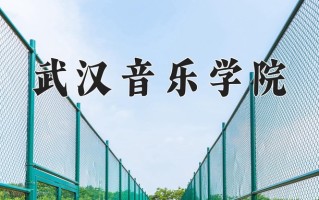 2024年武汉音乐学院招生章程，附办学层次和录取规则