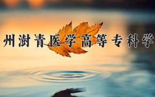 2025年郑州澍青医学高等专科学校在四川计划招生人数（附学费及专业录取分)